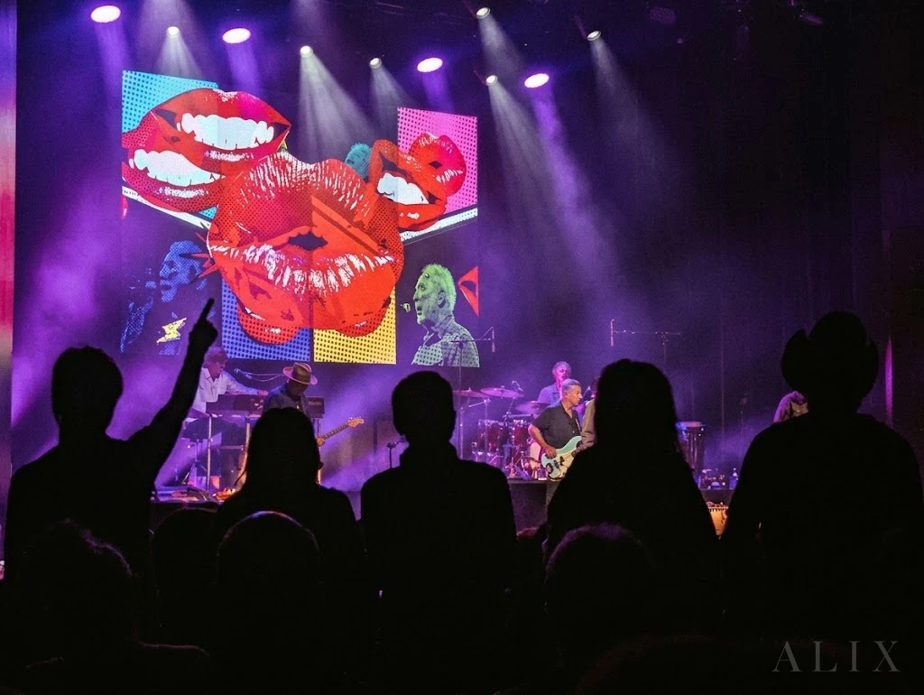 Audience silhouettes face a concert stage lit in purple with colorful mouth-shaped visuals.
